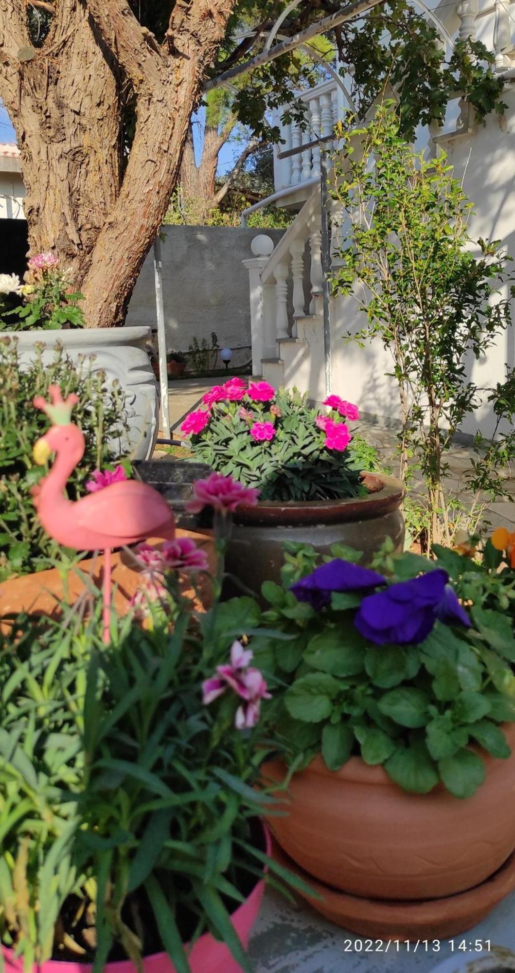 Secret Garden Home Lagonissi Attiki Melissourgoú Exterior photo