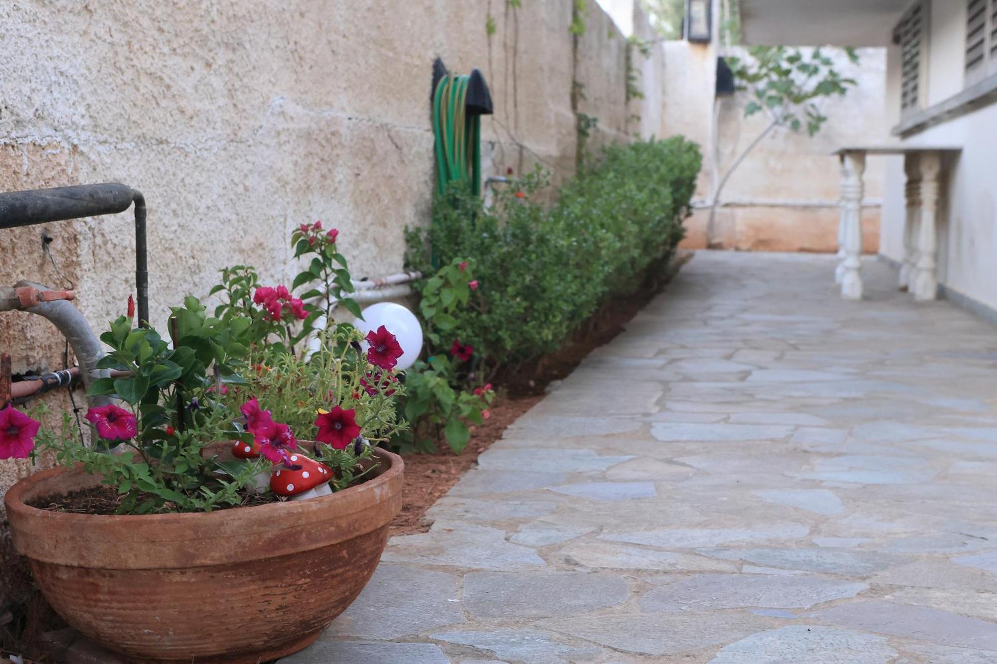 Secret Garden Home Lagonissi Attiki Melissourgoú Exterior photo